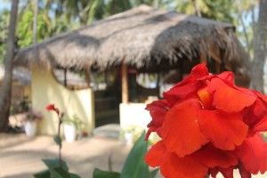 KITE RESORT — фото 5
