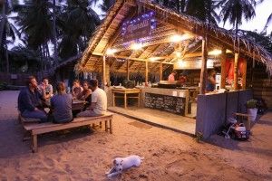 KITE RESORT — фото 6