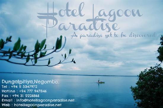 LAGOON PARADISE — фото 17
