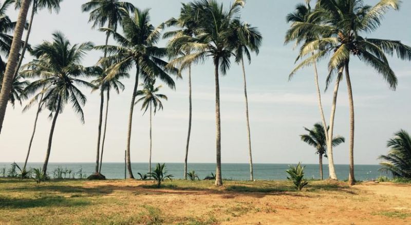 SUNSET BEACH HOTEL NEGOMBO — фото 16