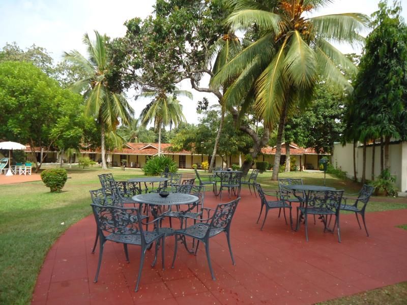 TAMARIND TREE — фото 18