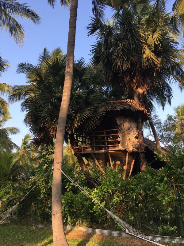 WIND BLEND KITE RESORT — фото 14