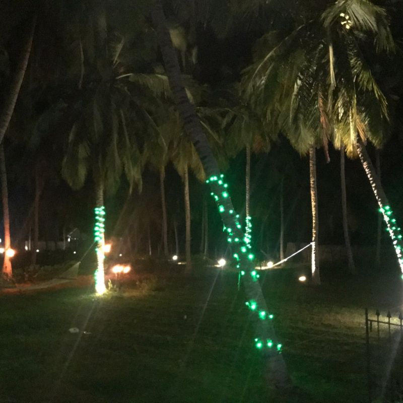 WIND BLEND KITE RESORT — фото 16