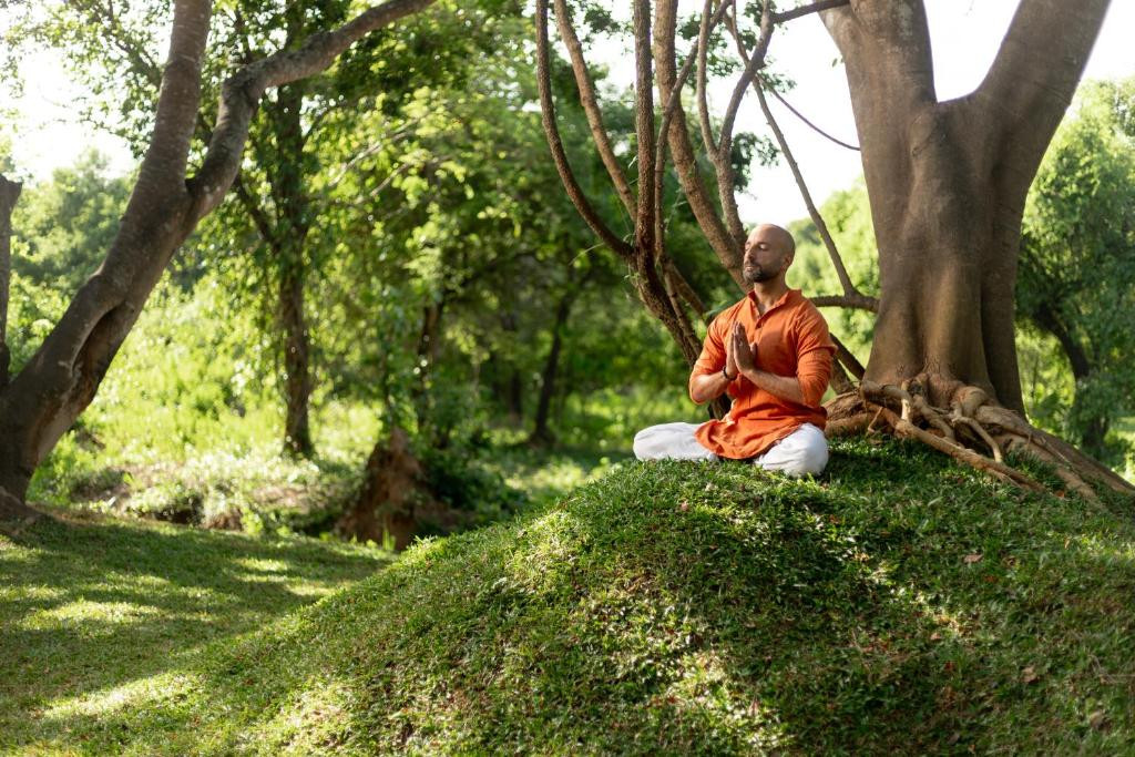 AYUGIRI AYURVEDA WELLNESS RESORT SIGIRIYA — фото 14