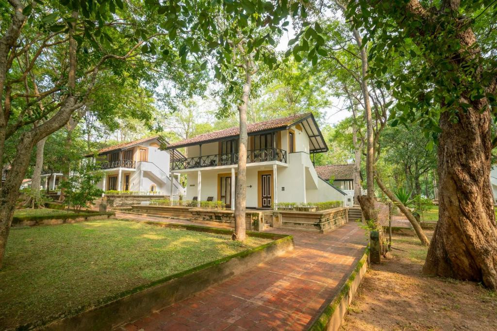 CINNAMON LODGE HABARANA — фото 15