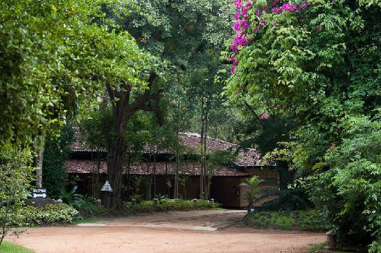 HOTEL SIGIRIYA — фото 5