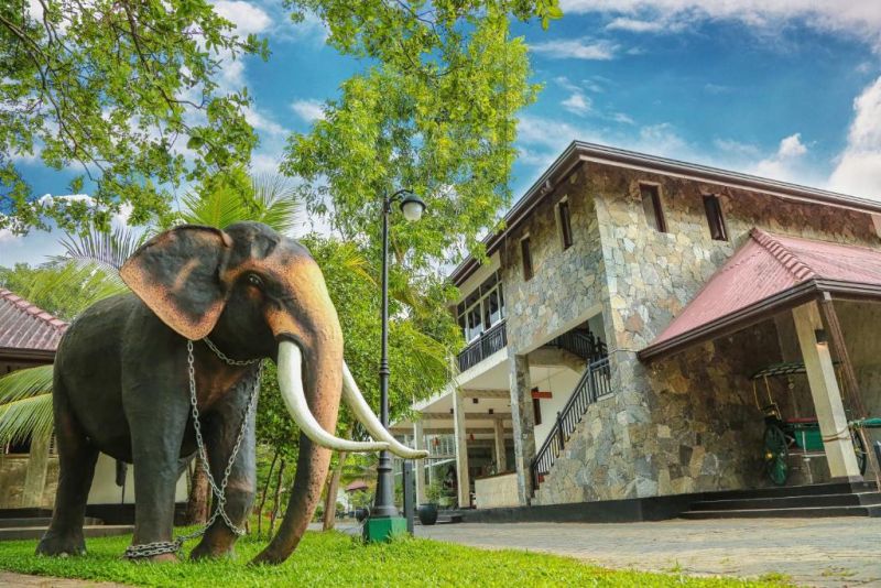 OAK RAY ELEPHANT LAKE — фото 2