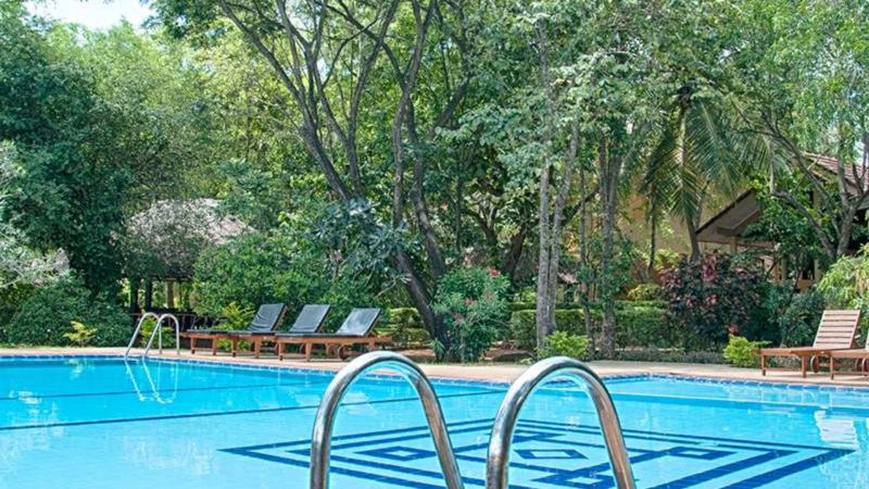 PELWEHERA VILLAGE RESORT — фото 10