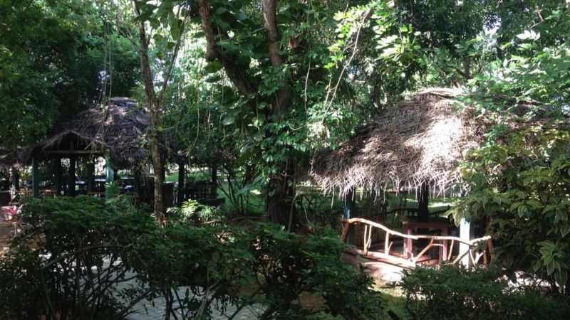 PELWEHERA VILLAGE RESORT — фото 13