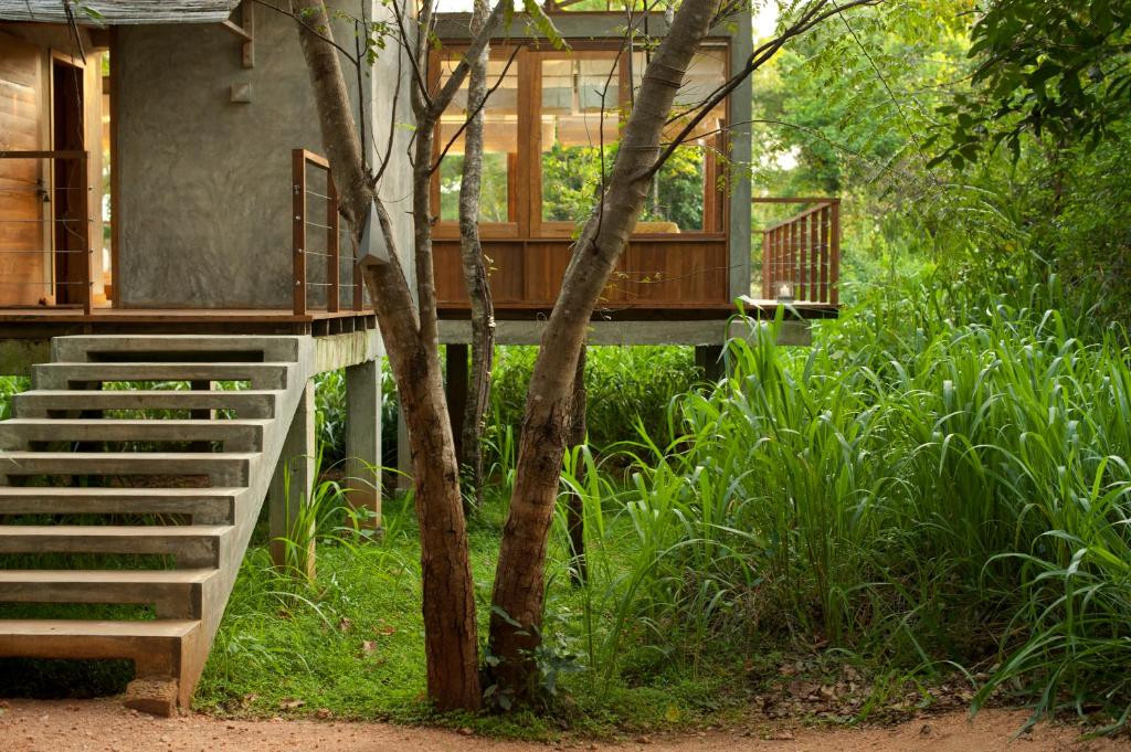 WILD GRASS NATURE RESORT — фото 7