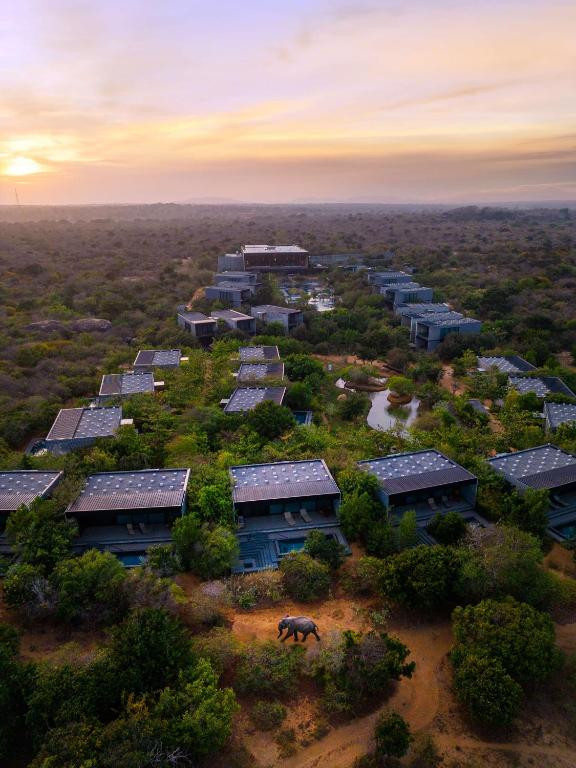 HILTON YALA RESORT — фото 4