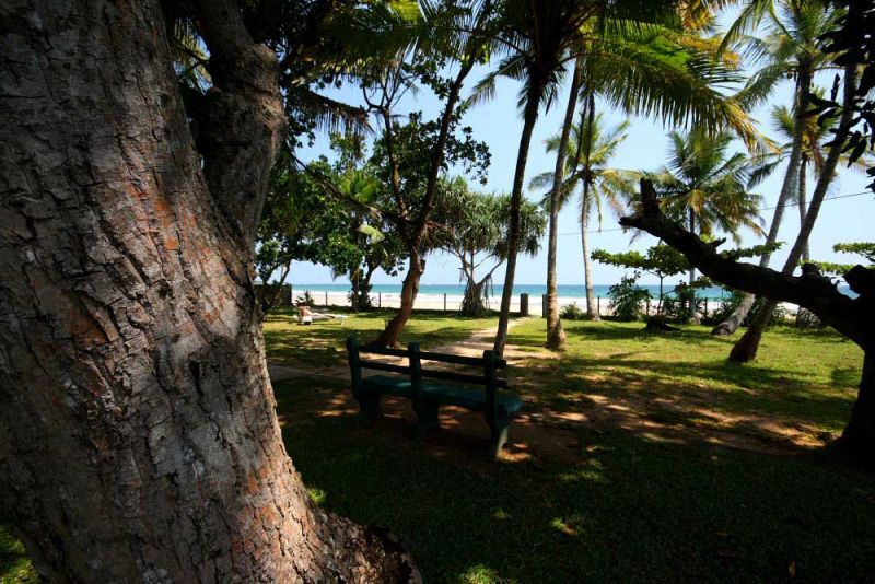 MAWELLA BEACH RESORT — фото 14