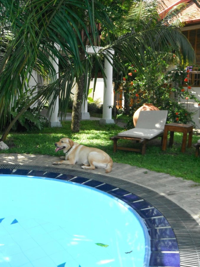 MOONSTONE VILLAS — фото 13