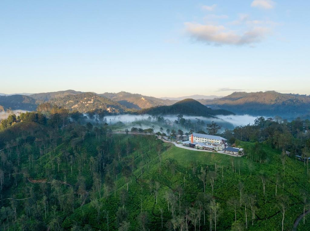 NEWBURGH ELLA THE TEA FACTORY RESORT — фото 13
