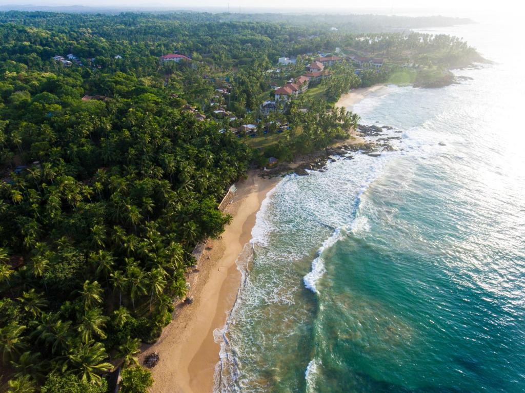 PALM PARADISE CABANAS AND VILLAS BEACH RESORT — фото 2