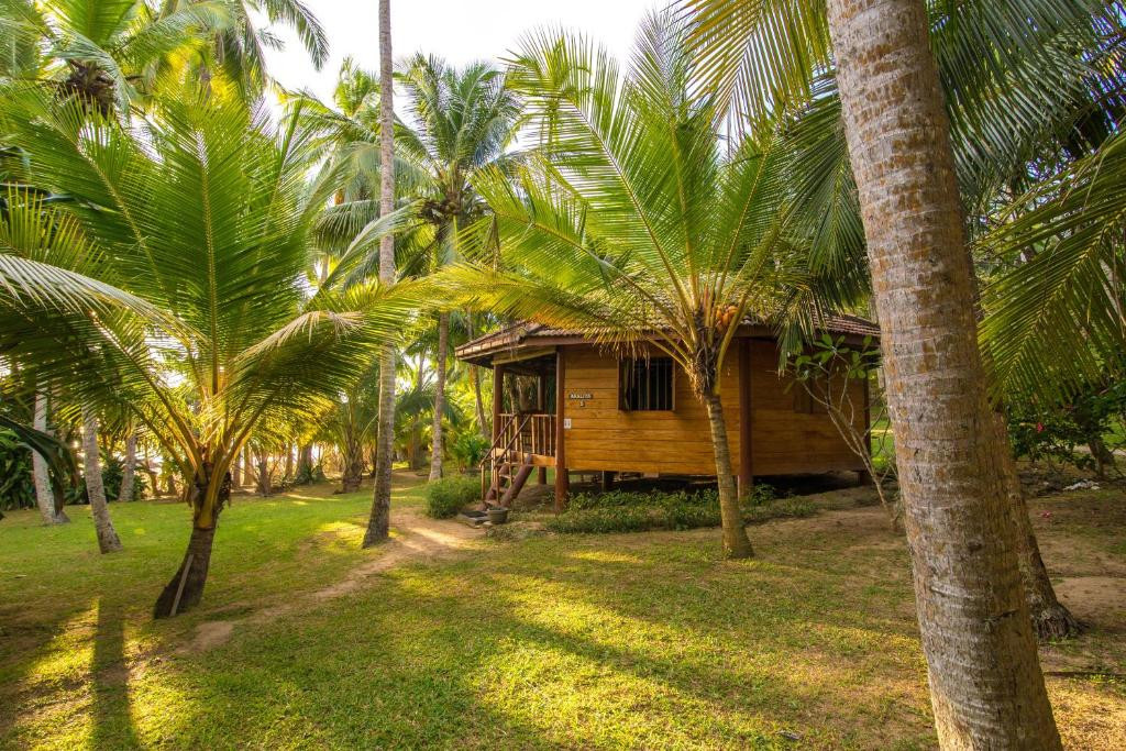 PALM PARADISE CABANAS AND VILLAS BEACH RESORT — фото 6