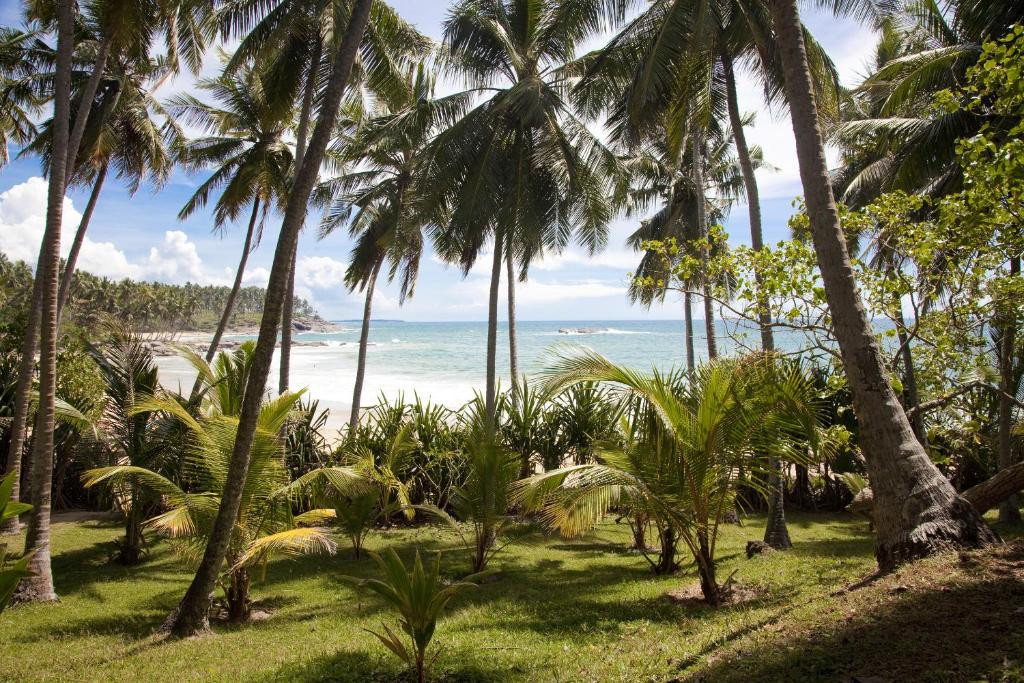 PALM PARADISE CABANAS AND VILLAS BEACH RESORT — фото 9