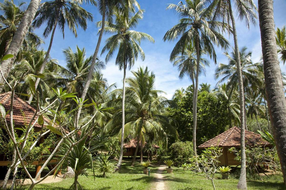 PALM PARADISE CABANAS