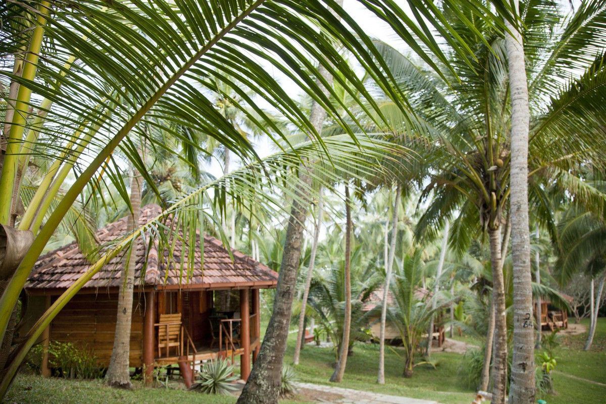 PALM PARADISE CABANAS — фото 10
