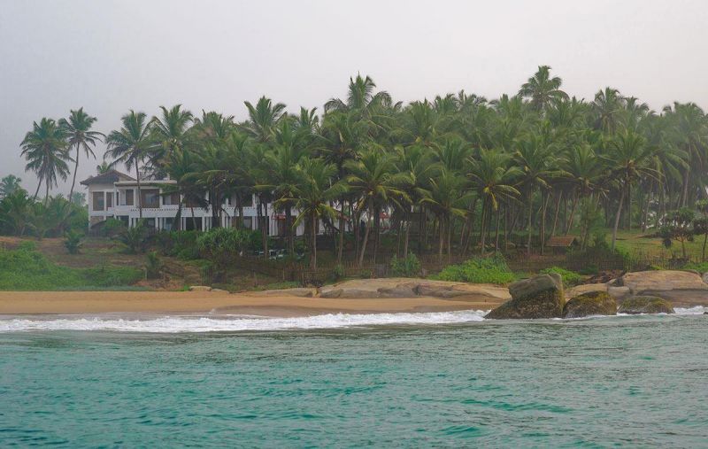 TURTLE BAY — фото 3