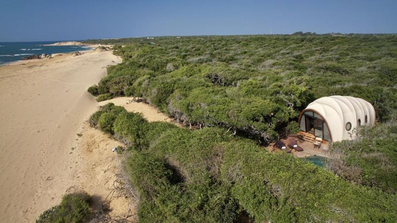 WILD COAST TENTED LODGE — фото 11