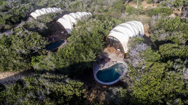 WILD COAST TENTED LODGE — фото 12