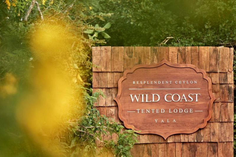 WILD COAST TENTED LODGE — фото 13