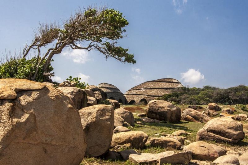 WILD COAST TENTED LODGE — фото 14