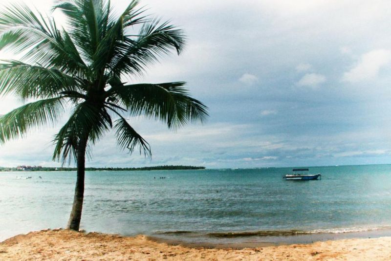 EARLS RED PASSIKUDAH (EX. EARLS PASSI BAY) — фото 9