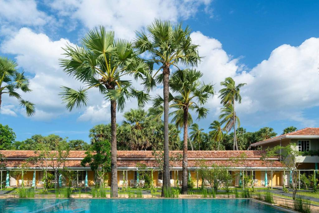 PALMERA ECO RESORT — фото 3
