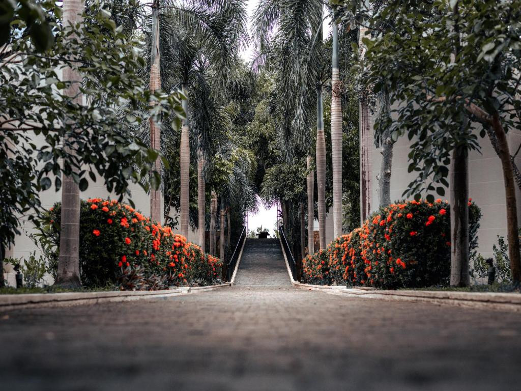 SUN SIYAM PASIKUDAH (EX. SUN AQUA) — фото 14