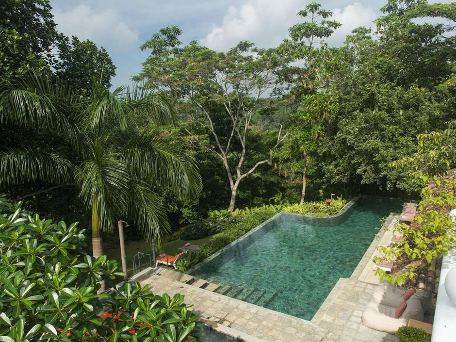 08 ACRE PRIVATE TEA ESTATE CLOSE TO GALLE — фото 15