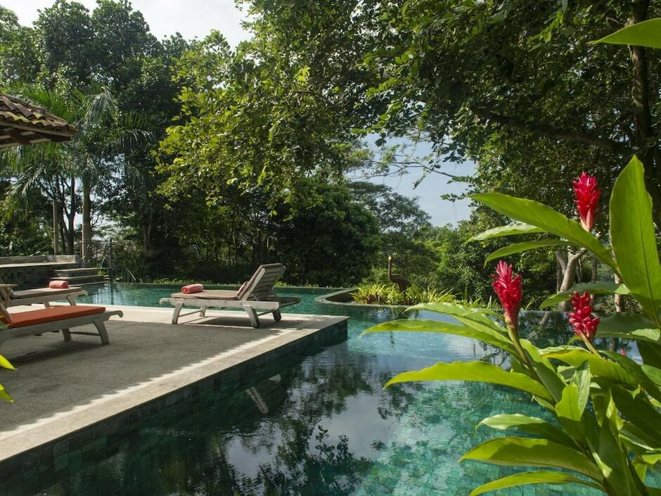 08 ACRE PRIVATE TEA ESTATE CLOSE TO GALLE — фото 16