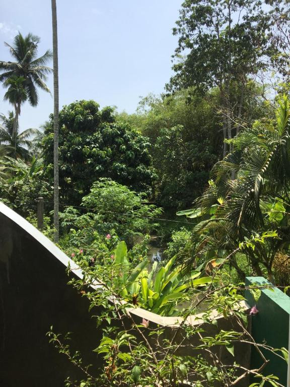 BACKPACKERS LODGE UNAWATUNA GUEST HOUSE — фото 6