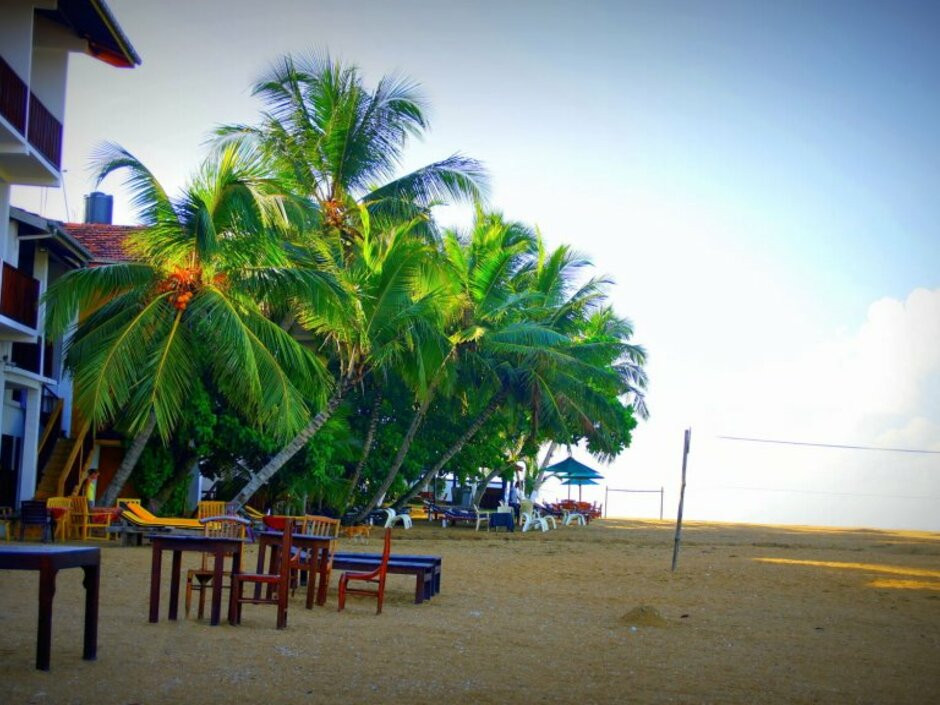 BANANA BEACH — фото 14