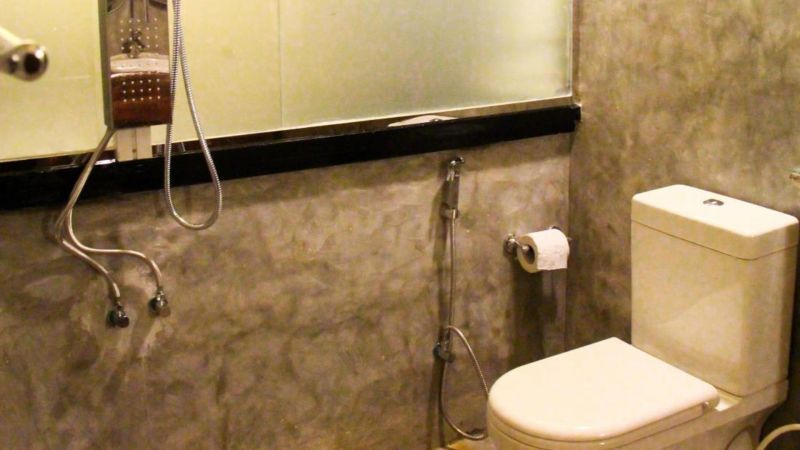 BLUE SWAN INN — фото 15
