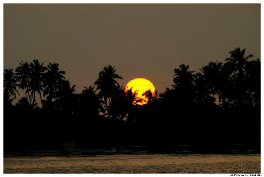 COMARAN BEACH HOTEL — фото 3