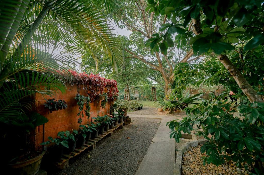 DANDELION UNAWATUNA GUEST HOUSE — фото 13