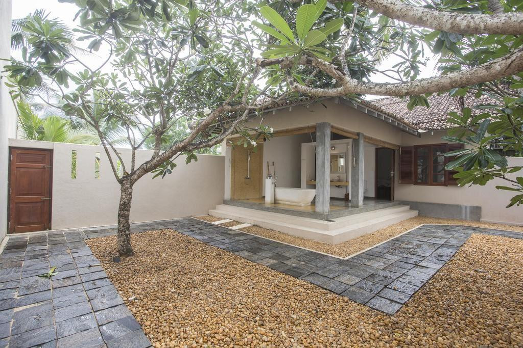 FRANGIPANI TREE — фото 3