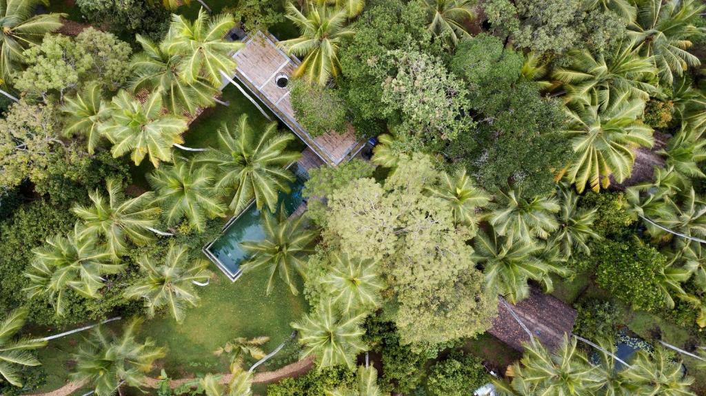 KAJU GREEN ECO LODGES — фото 8