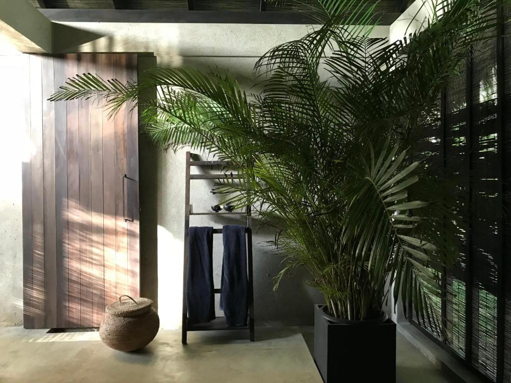 KAJU GREEN ECO LODGES — фото 18