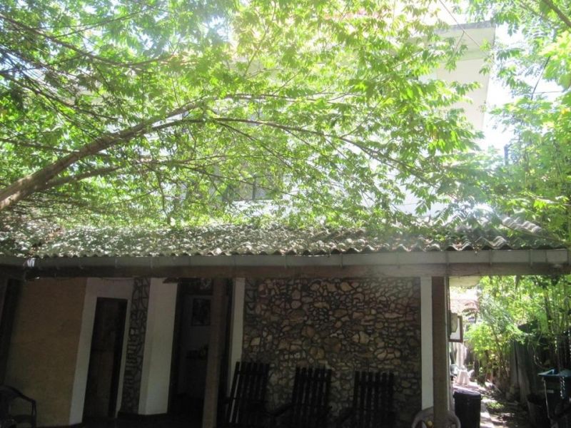 MY PLACE GUEST HOUSE — фото 3