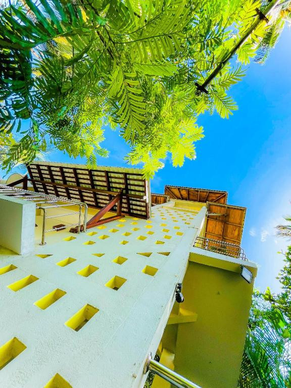 PRIMROSE GUEST HOUSE — фото 12