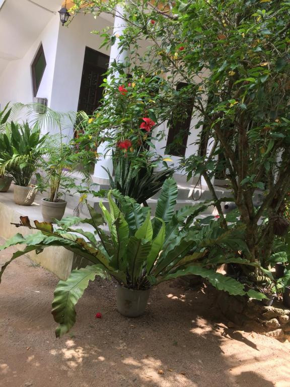 RAMYA VILLA — фото 14