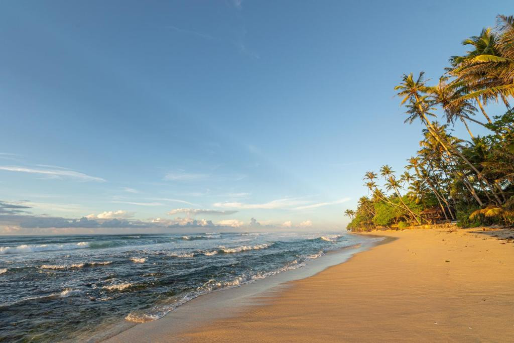 THE BEACH TALPE — фото 10
