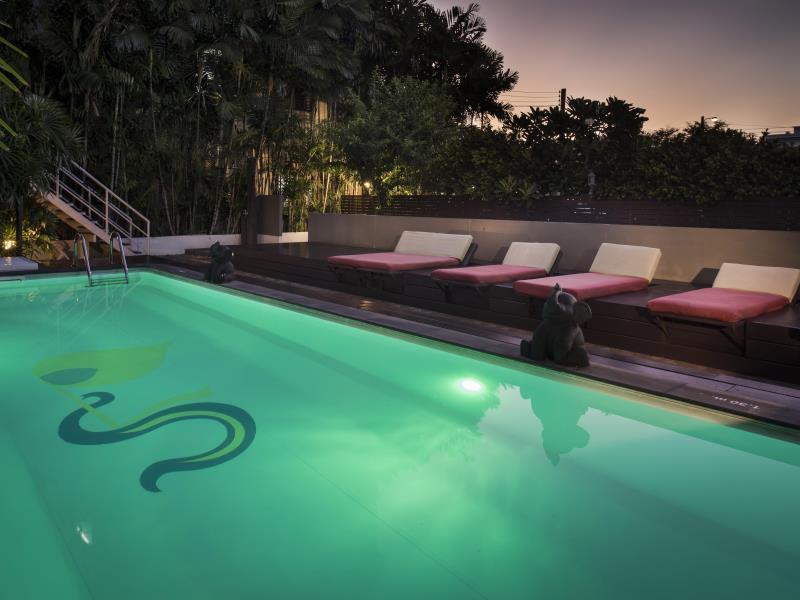 EASTIN EASY SIAM PIMAN — фото 2