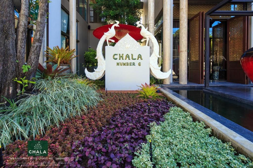 CHALA NUMBER 6  — фото 6