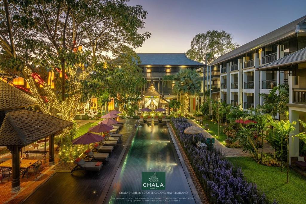 CHALA NUMBER 6  — фото 10