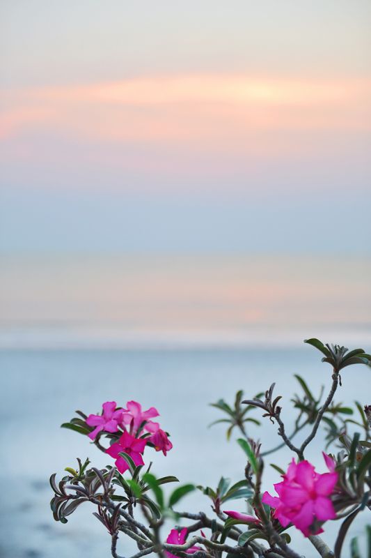 SUPATRA HUA HIN RESORT — фото 11