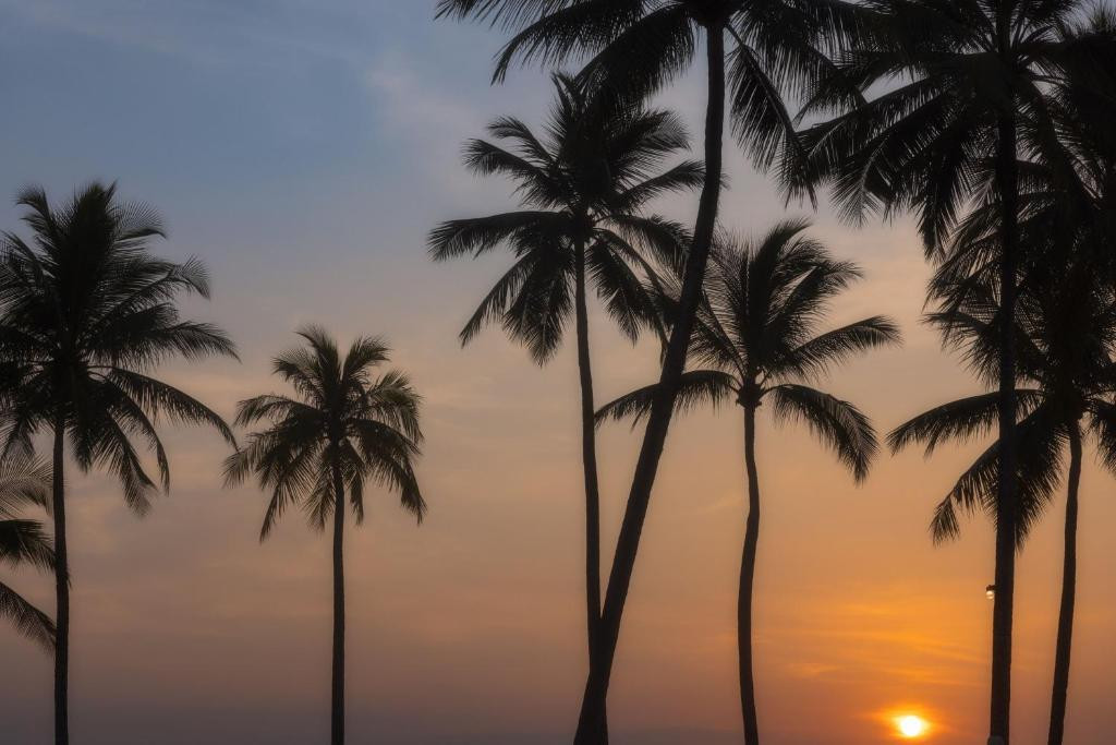 JW MARRIOTT KHAO LAK RESORT SUITES — фото 16